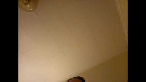 happytits34 @ chaturbate on 20241205