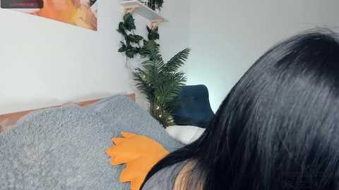 Media: hinatabroks Chaturbate 2024-12-05 20:12:00