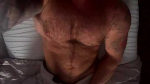 skimaskedbeef @ chaturbate on 20241207