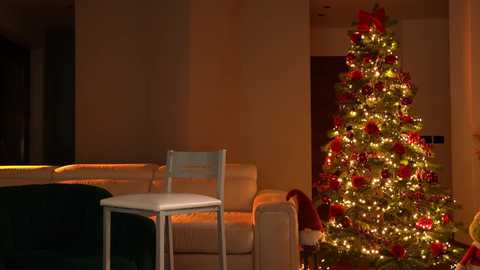 Media: jseductiveart Chaturbate 2024-12-08 01:31:00