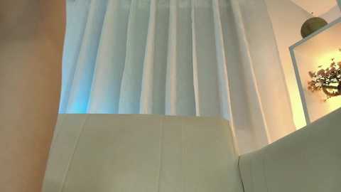 Media: nezo_ Chaturbate 2024-12-08 03:37:00