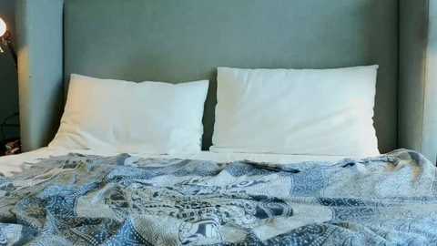 Media: jessynelson_official Chaturbate 2024-12-09 07:18:00