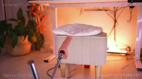 Media: lil_eva Chaturbate 2024-12-09 12:14:00