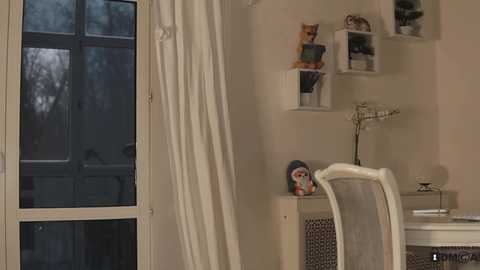 neferpita @ chaturbate on 20241209