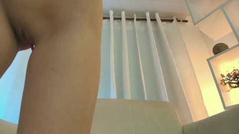 Media: nezo_ Chaturbate 2024-12-09 03:52:00