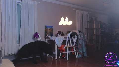 chroniclove @ chaturbate on 20241210