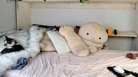 Media: fit_american_girl Chaturbate 2024-12-10 07:38:00