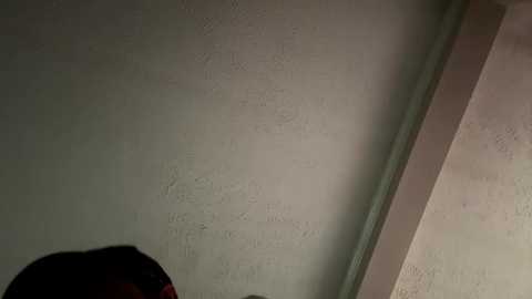 Media: high3ndlowlife Chaturbate 2024-12-10 15:56:00