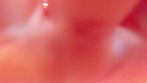 jessiica_stonne2 @ chaturbate on 20241210