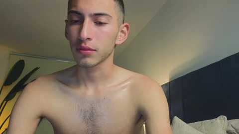 ethan_skiny_ @ chaturbate on 20241211