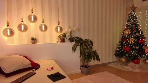 Media: breeding_material Chaturbate 2024-12-12 18:13:00