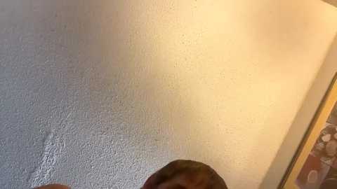 Media: high3ndlowlife Chaturbate 2024-12-12 14:03:00