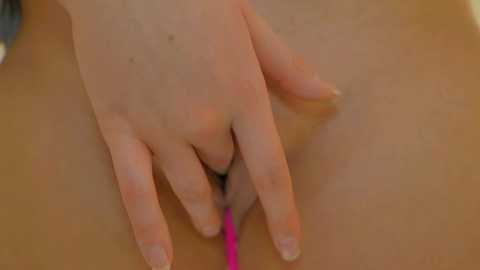 Media: naalani Chaturbate 2024-12-13 11:54:00
