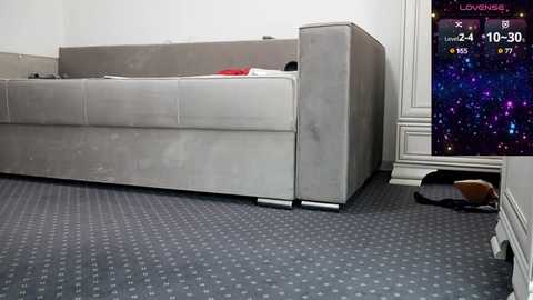Media: carmela_fox Chaturbate 2024-12-14 15:19:00