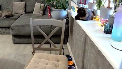 erotic_vibe @ chaturbate on 20241214