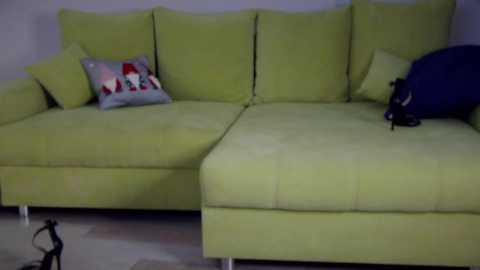 Media: girl_next_door19 Chaturbate 2024-12-15 06:01:00