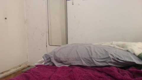 pinklola31 @ chaturbate on 20241217