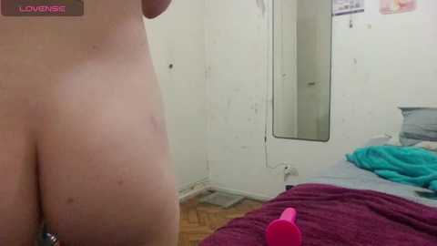 pinklola31 @ chaturbate on 20241218