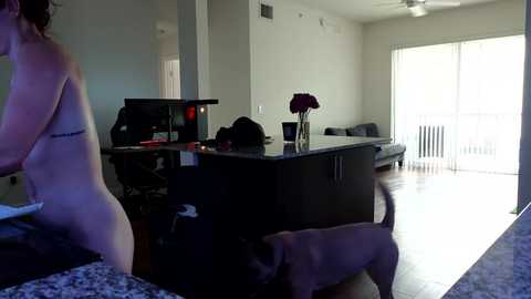 alexi793021 @ chaturbate on 20241220