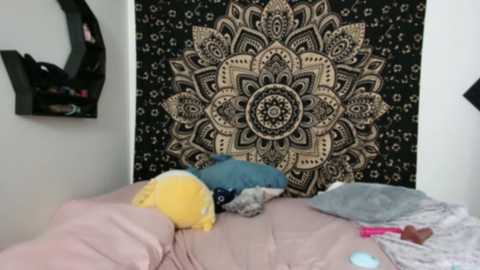 ruby_wren @ chaturbate on 20241220