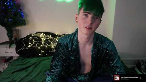 alfiegreenxxx @ chaturbate on 20241221