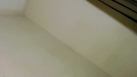 i_love_eula @ chaturbate on 20241223