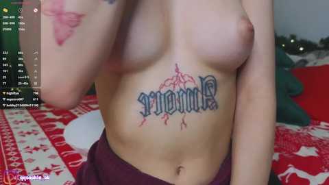 Media: hadleynichols Chaturbate 2024-12-25 07:01:00