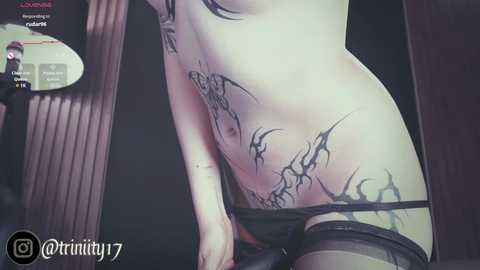 abril__colen @ chaturbate on 20241226