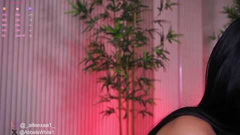 Media: abbela_white Chaturbate 2024-12-27 12:12:00