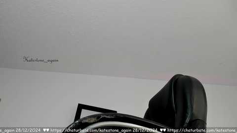 katestone_again @ chaturbate on 20241228