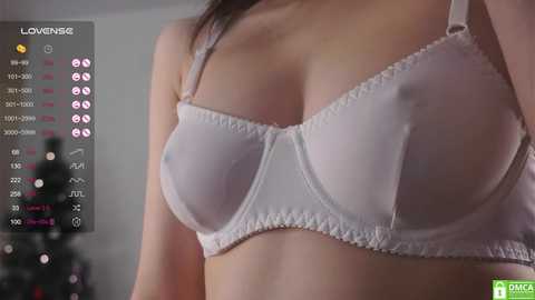 Media: _vi_vi_ Chaturbate 2024-12-29 08:45:00