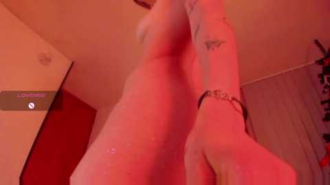 stonned_candy @ chaturbate on 20250101