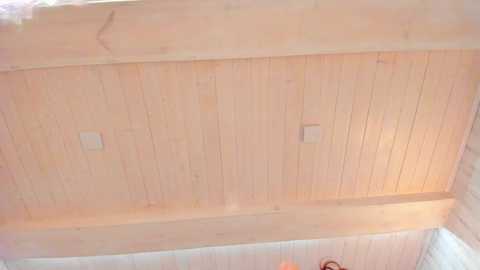 Media: sunshine13_ Chaturbate 2025-01-02 17:12:00