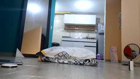 tomoe_b @ chaturbate on 20250102