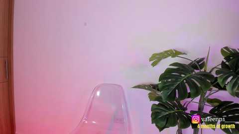 valerose_ @ chaturbate on 20250102