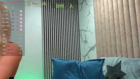 kassablanca_ @ chaturbate on 20250103