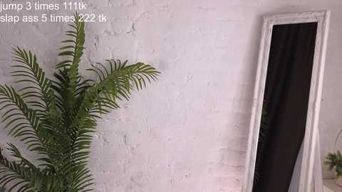 nemo_fishy @ chaturbate on 20250104