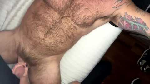 skimaskedbeef @ chaturbate on 20250104