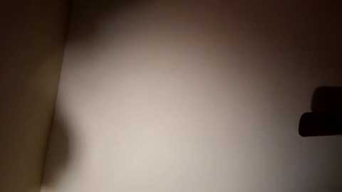 thenastyyyshow @ chaturbate on 20250107