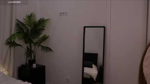 lilly_colins @ chaturbate on 20250112