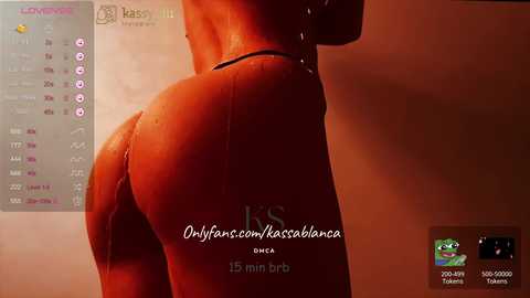 kassablanca_ @ chaturbate on 20250113