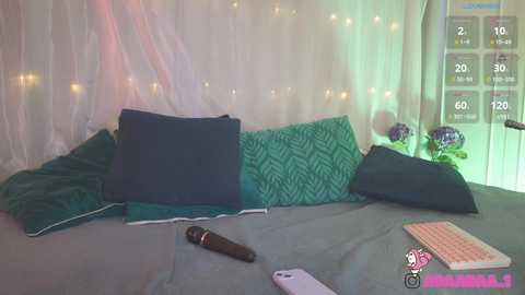 adaaraa_ @ chaturbate on 20250128