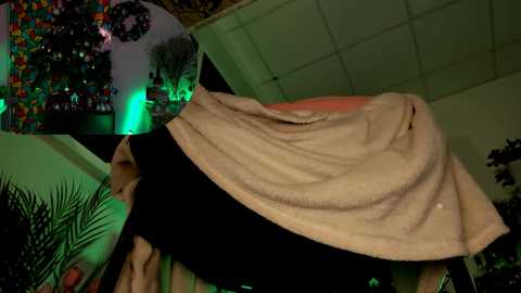 dorothygilbert @ chaturbate on 20250128