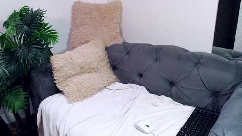 iwillfall_ @ chaturbate on 20250129