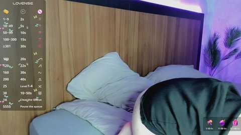 playful_moon @ chaturbate on 20250131