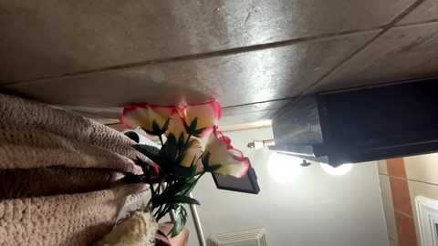 trillahung @ chaturbate on 20250131