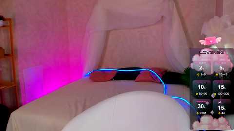 elize_babe @ chaturbate on 20250202