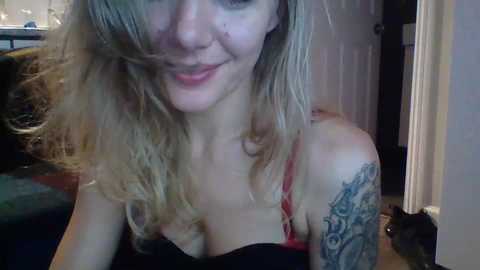 sillykitten6969 @ chaturbate on 20250203