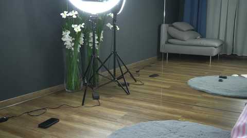 Media: alexxiskye Chaturbate 2025-02-09 11:00:00