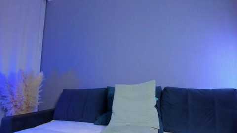 Media: mirabrunette Chaturbate 2025-02-09 03:35:00